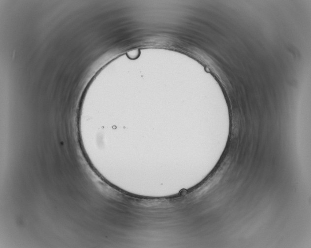 X0000111141434200907281103