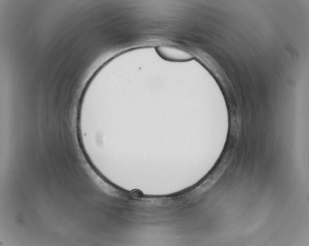 X0000111141438200907281103