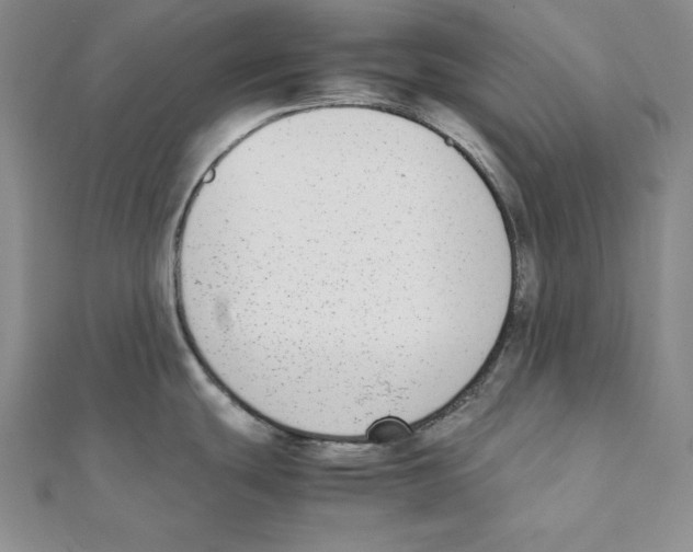 X0000111141439200907281103