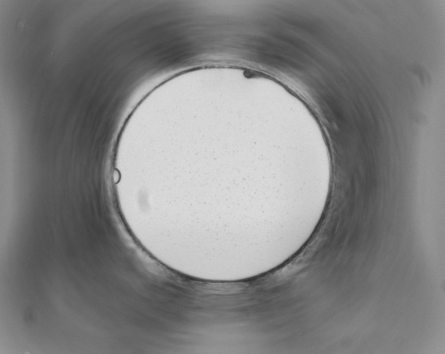 X0000111141440200907281103