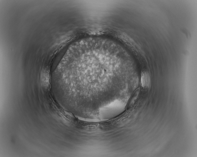 X0000111141444200907281102