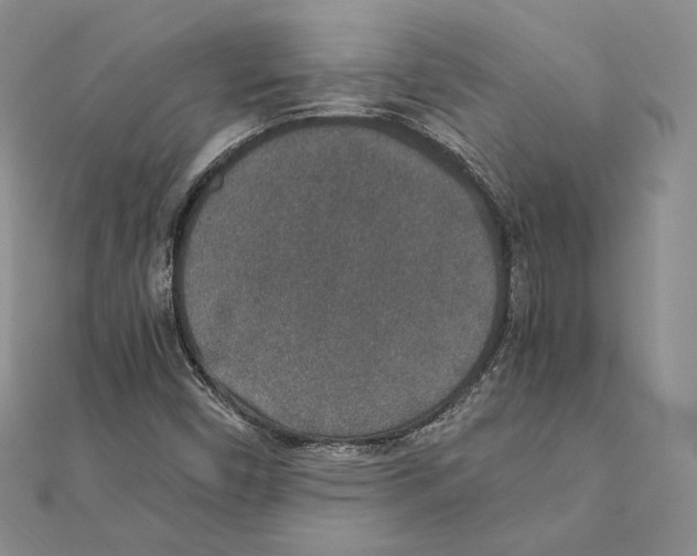 X0000111141450200907281102