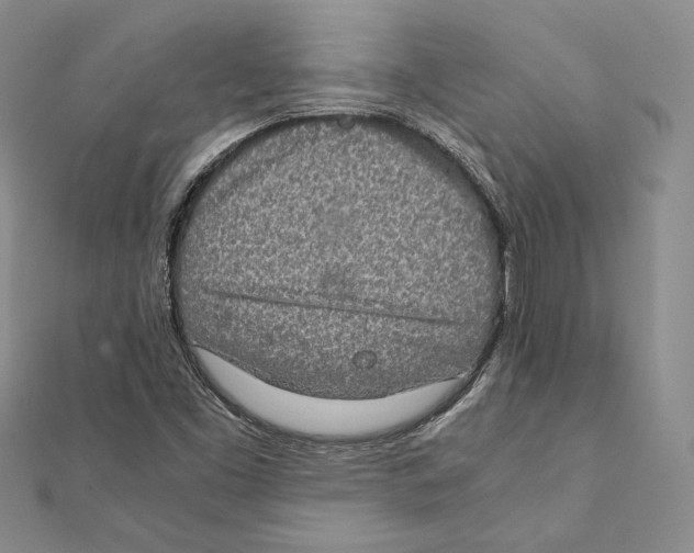 X0000111141453200907281102