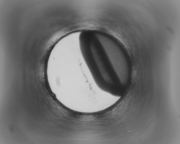 X0000111141455200907281102