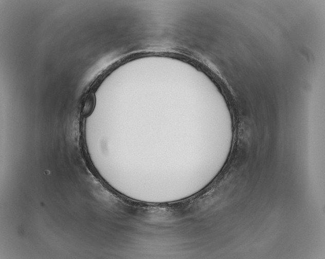 X0000111141456200907281102