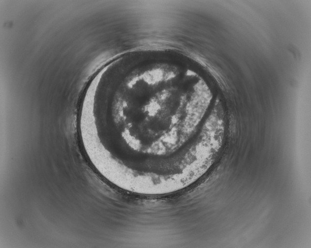 X0000111141459200907281102