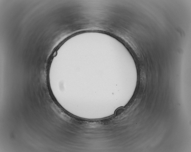 X0000111141460200907281102