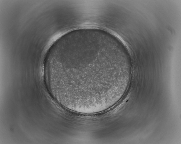 X0000111141461200907281102