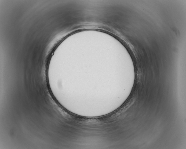 X0000111141464200907281102