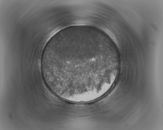 X0000111141465200907281102