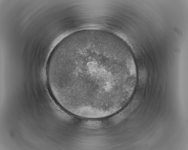 X0000111141466200907281102