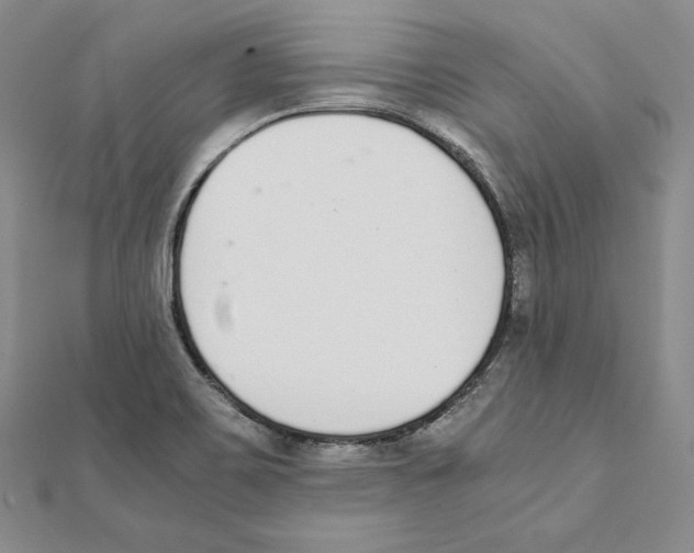 X0000111141467200907281102