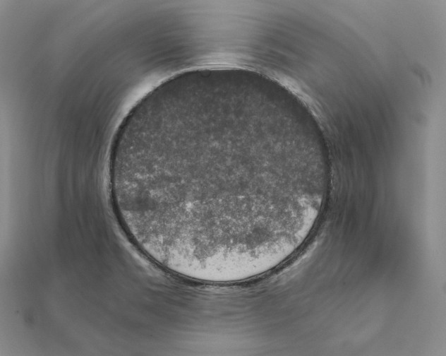 X0000111141469200907281102