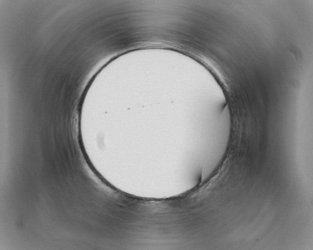 X0000111141476200907281102