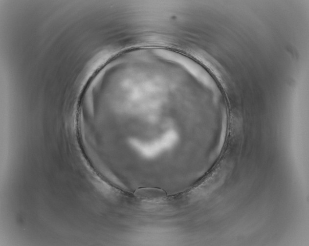 X0000111141477200907281102