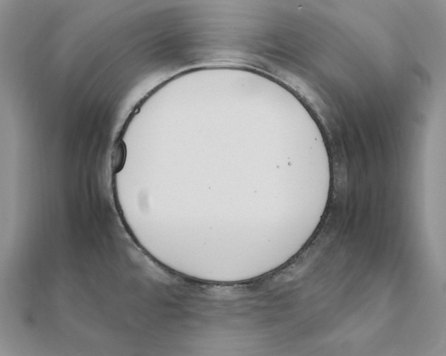 X0000111141480200907281102