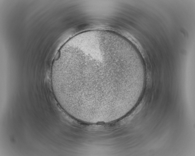 X0000111141481200907281102