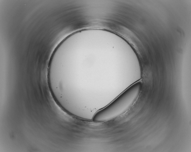 X0000111141484200907281102