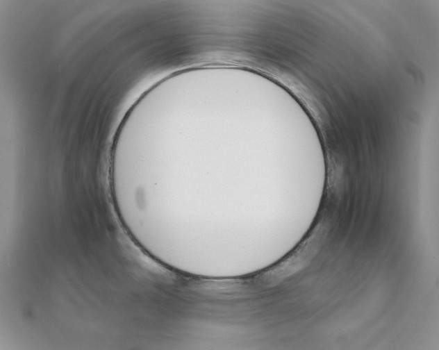 X0000111141486200907281102