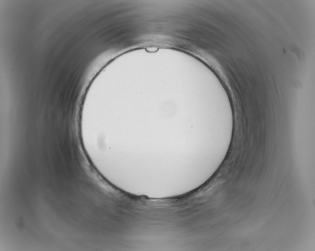 X0000111141488200907281102