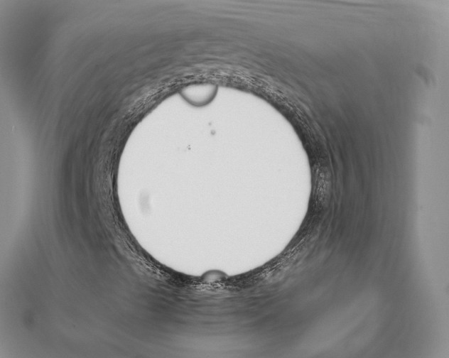 X0000111141489200907281101