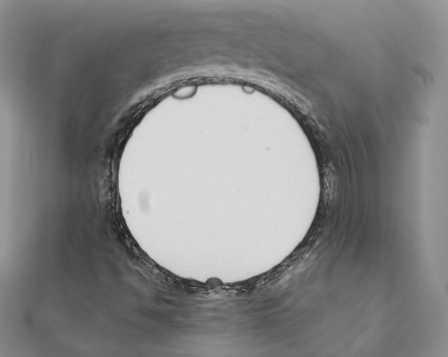 X0000111141494200907281101