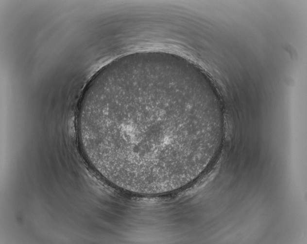 X0000111141497200907281101