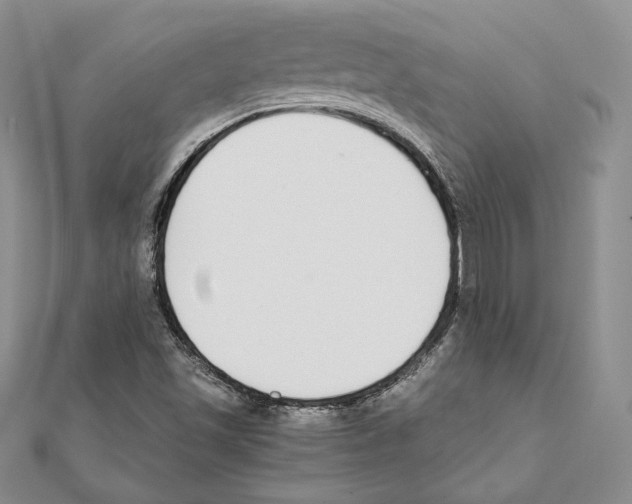 X0000111141501200907281101