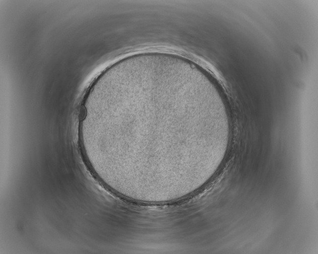 X0000111141504200907281101