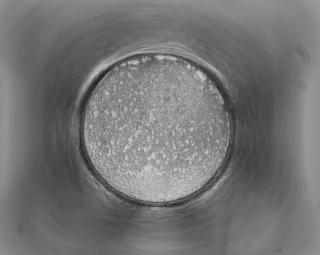 X0000111141506200907281101