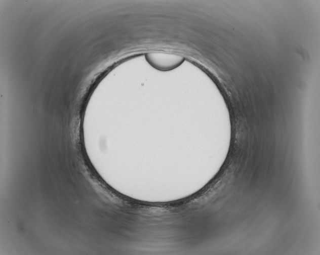 X0000111141507200907281101