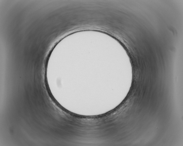 X0000111141508200907281101