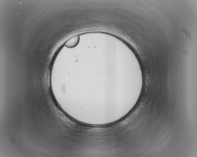 X0000111141510200907281101