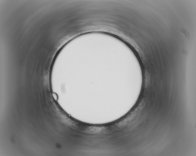 X0000111141513200907281101