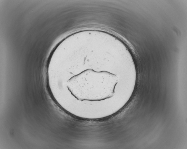 X0000111141514200907281101