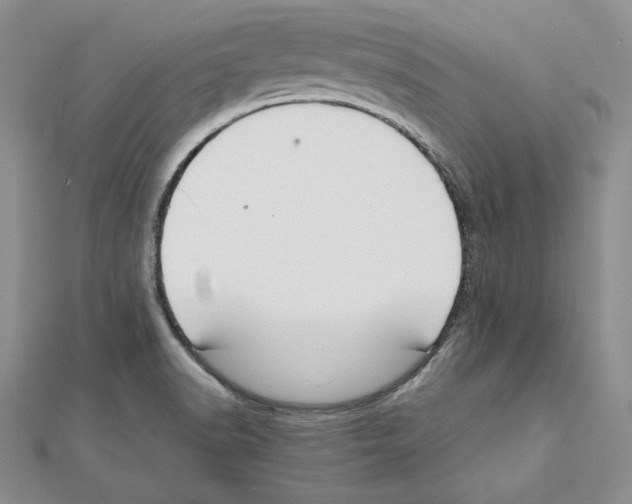 X0000111141518200907281101