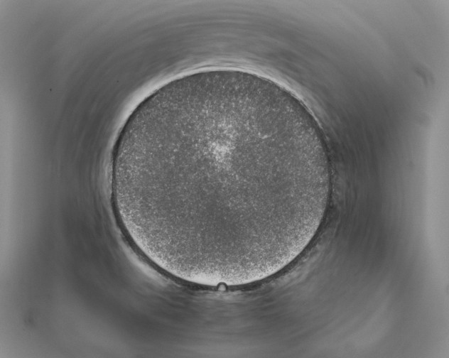 X0000111141519200907281101