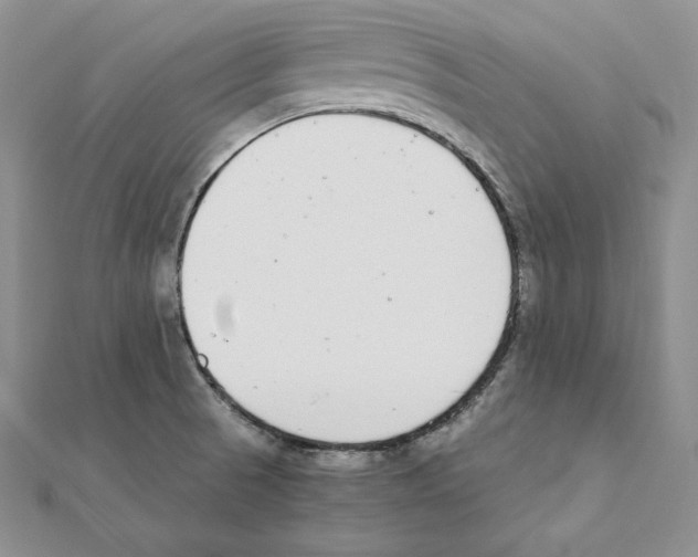 X0000111141521200907281101