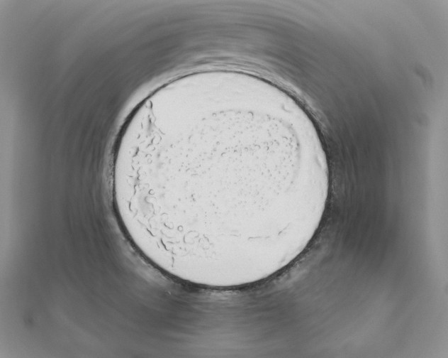 X0000111141522200907281101