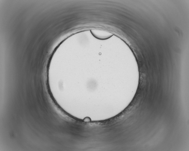 X0000111141523200907281102