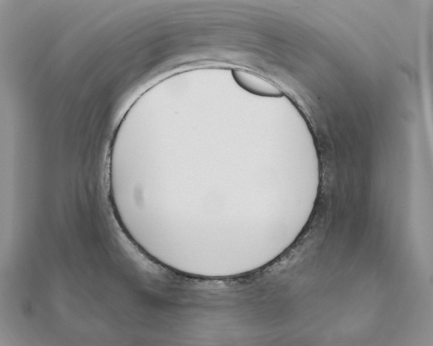 X0000111141524200907281102