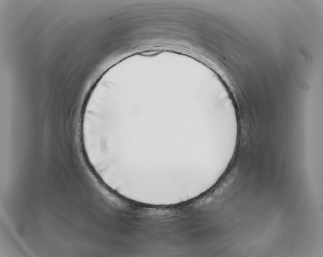 X0000111141525200907281102