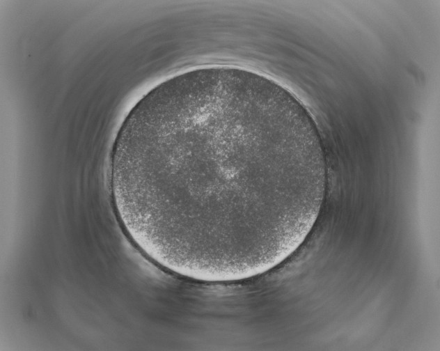 X0000111141527200907281102