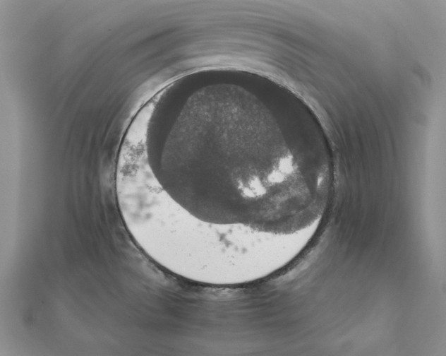 X0000111141529200907281102