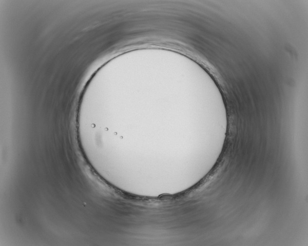 X0000111141530200907281102