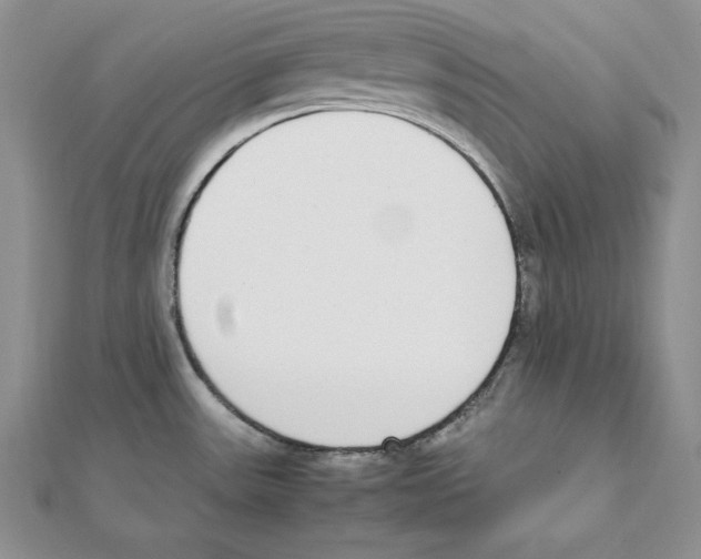 X0000111141531200907281102