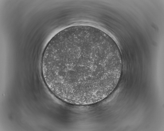 X0000111141533200907281102