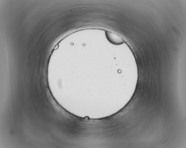 X0000111141534200907281102