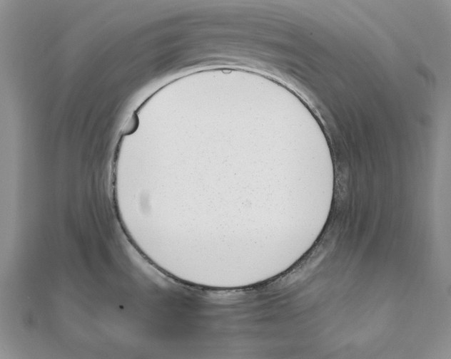 X0000111141535200907281102