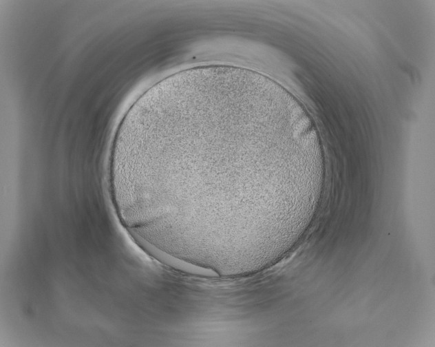 X0000111141536200907281102